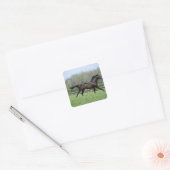 Horse Thoroughbreds, Wassl 1988, Vierkante Sticker (Envelop)