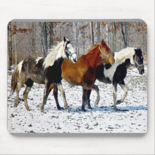 Horse Trio Mousepad Muismat