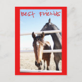 Horse Valentin IV Briefkaart (Voorkant)