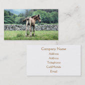 HORSE VISITEKAARTJE (Voorkant / Achterkant)