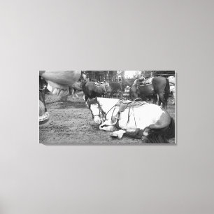 Horse Wall Art Zwart-wit Fotobommenwerper Canvas Afdruk