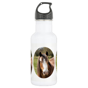HORSE WATERFLES