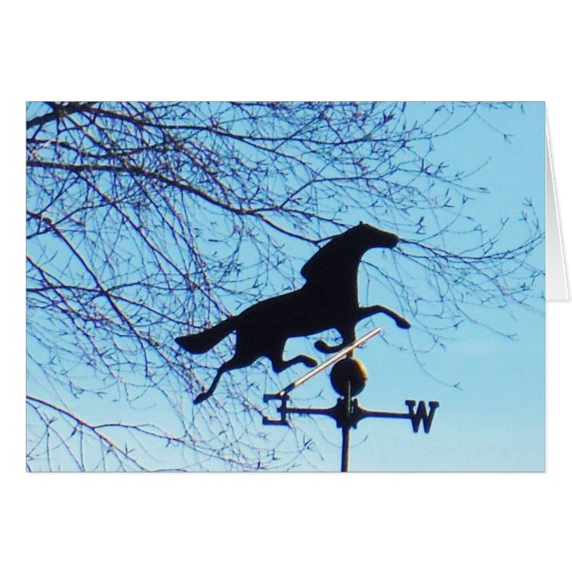 Horse Weather Vane Blue Sky (Voorkant Horizontaal)