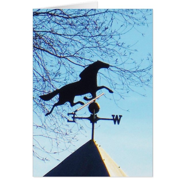 Horse Weather Vane Blue Sky (Voorkant)