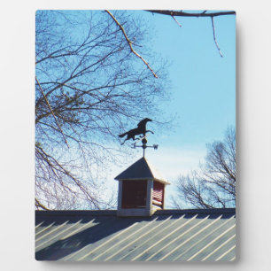 Horse Weather Vane Blue Sky Fotoplaat