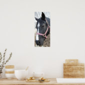 Horse Whisperer Poster (Keuken)