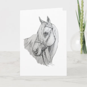 Horse with Flowing Mane Pencil Portrait Blank Kaart