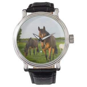 Horse Wrist watch Horloge