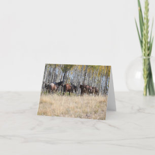 Horseback het Berijden in notecards van Bergen Kaart