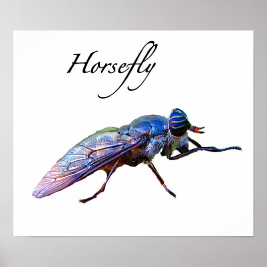 Horsefly Poster (Voorkant)