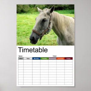 Horsehead 005 Tijdschema Poster
