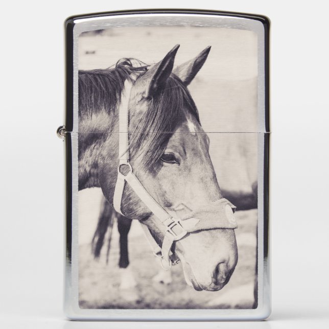 Horsehead 009 (Voorkant)