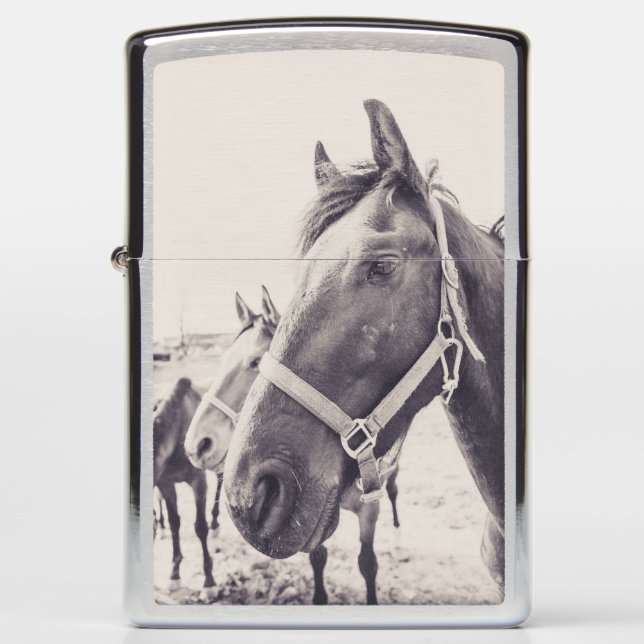 Horsehead 011 (Voorkant)