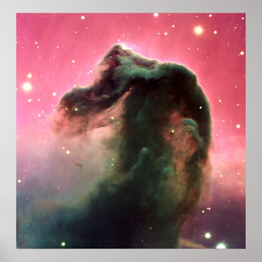 Horsehead Nebula Poster (Voorkant)
