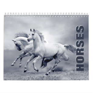Horses 2022 Calendrier mural