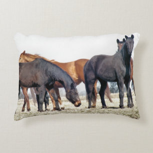 HORSES ACCENT KUSSEN