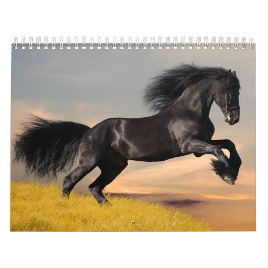 Horses Agenda Kalender (Hoes)