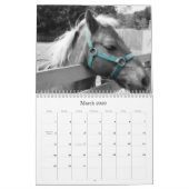 Horses Agenda Kalender (Mar 2026)