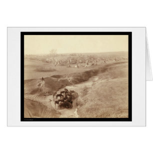 Horses arrosage à White Clay Creek SD 1891