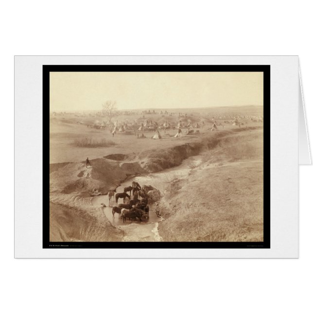 Horses arrosage à White Clay Creek SD 1891 (Devant horizontal)