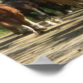 Horses Aspens Nouveau-Mexique Poster (Coin)