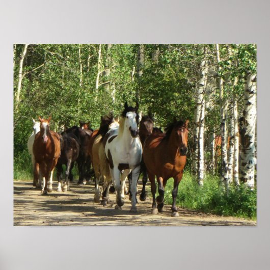 Horses Aspens Nouveau-Mexique Poster (Devant)