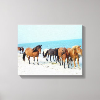 Horses Assateague Nationaal Zee Shore Maryland Canvas Afdruk
