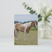 Horses Briefkaart (Staand voorkant)