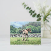 HORSES BRIEFKAART (Staand voorkant)