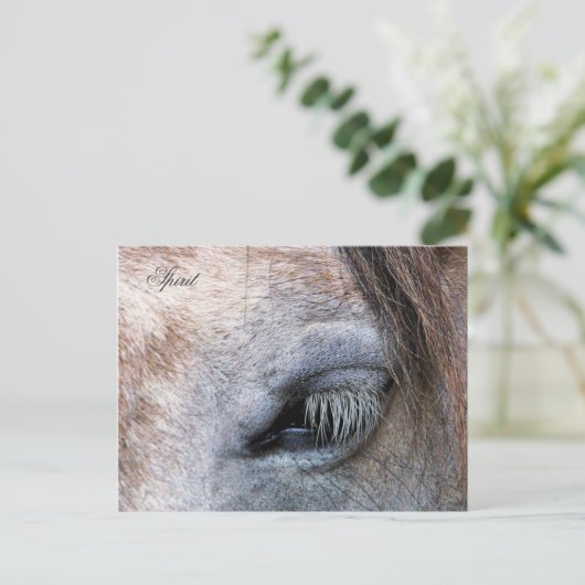 HORSES BRIEFKAART (Staand voorkant)