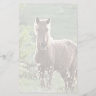 Horses Briefpapier