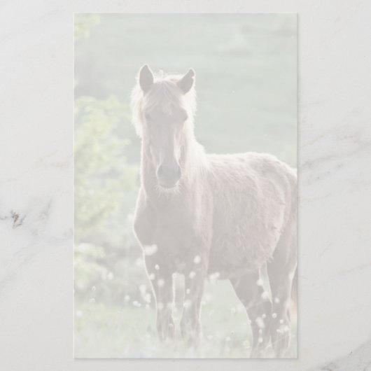 Horses Briefpapier (Voorkant)