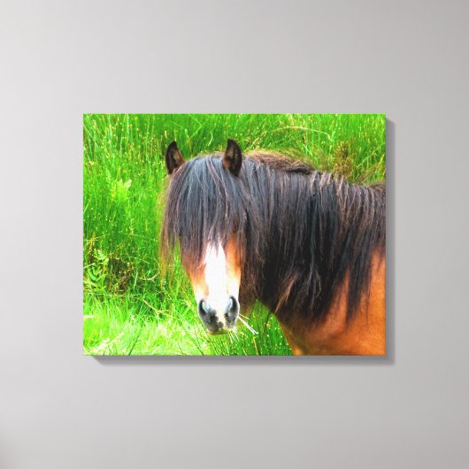 HORSES CANVAS AFDRUK (Voorkant)