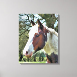 HORSES CANVAS AFDRUK