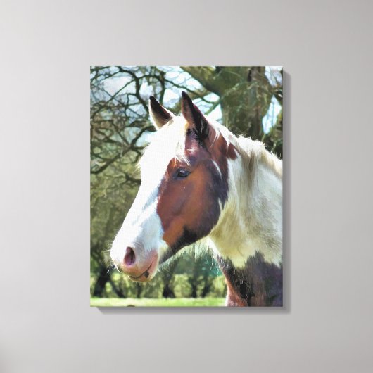 HORSES CANVAS AFDRUK (Voorkant)