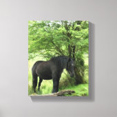 HORSES CANVAS AFDRUK (Voorkant)