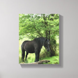 HORSES CANVAS AFDRUK