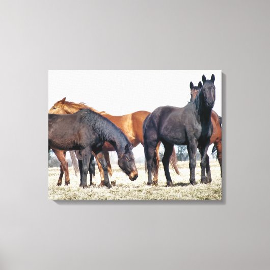 HORSES CANVAS AFDRUK (Voorkant)