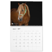 Horses de thérapie Calendrier 2021 (Mar 2027)