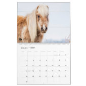 Horses de thérapie Calendrier 2021 (Jan 2027)