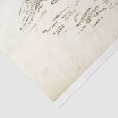 Horses Ephemera Decoupage Frans Jongen Tissuepapier (Detail)