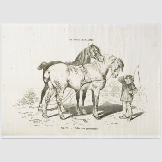 Horses Ephemera Decoupage Frans Jongen Tissuepapier (Voorkant)