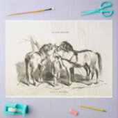 Horses Ephemera Decoupage  Frans Weefsel Pa Tissuepapier (Craft)