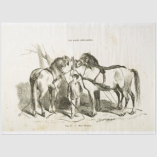 Horses Ephemera Decoupage  Frans Weefsel Pa Tissuepapier