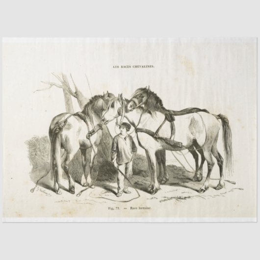 Horses Ephemera Decoupage  Frans Weefsel Pa Tissuepapier (Voorkant)