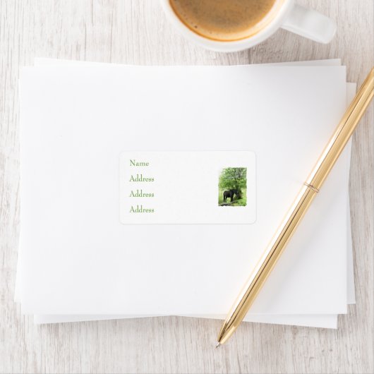 HORSES ETIKET (Insitu)