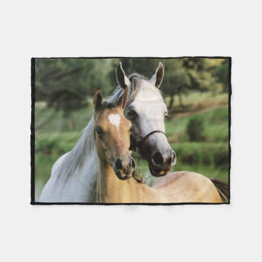 Horses Fleece Blanket (Voorkant (Horizontaal))