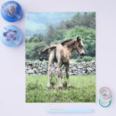 HORSES FLYER (Enkel)