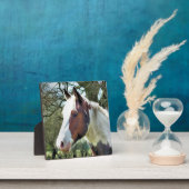 HORSES FOTOPLAAT (Insitu)