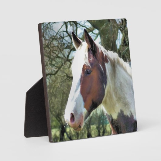 HORSES FOTOPLAAT (Voorkant)